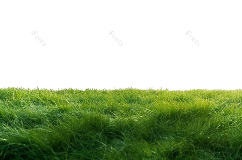 清新图片,草坪元素,白色背景PNG,简单免抠素材